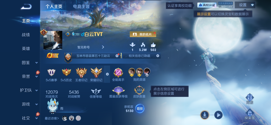 WZQM4723597王者荣耀账号详情图7 WZQM4723597王者荣耀账号详情图7