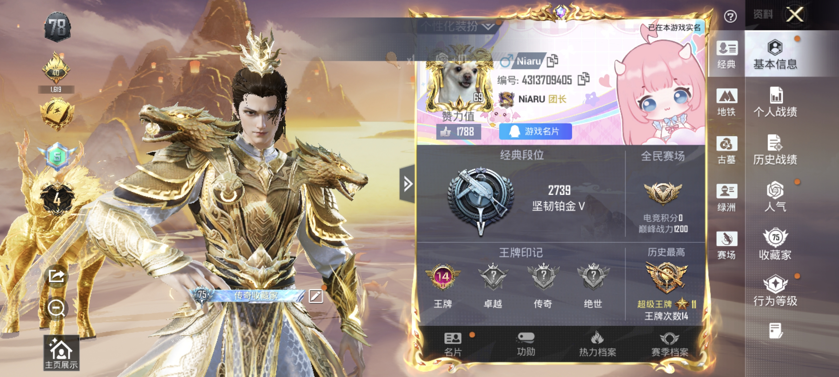 账号详情图片