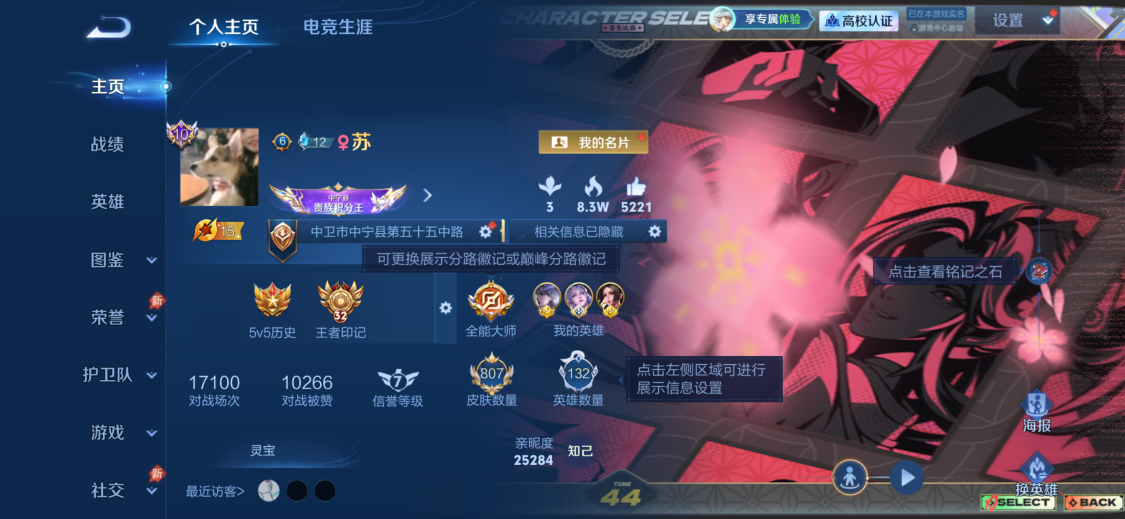 WZMMN4770065王者荣耀账号详情图14