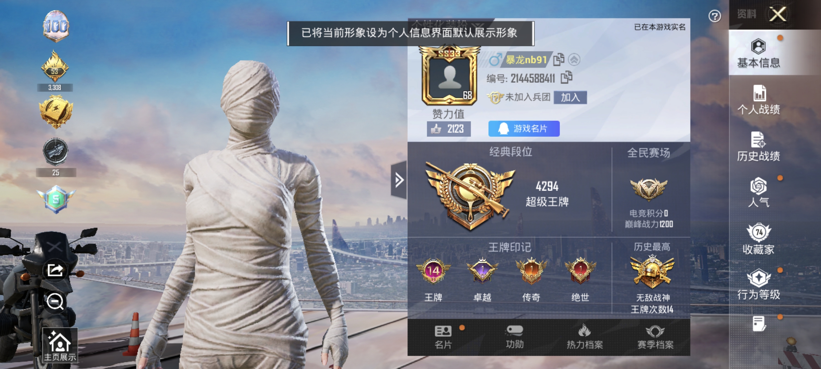 大图